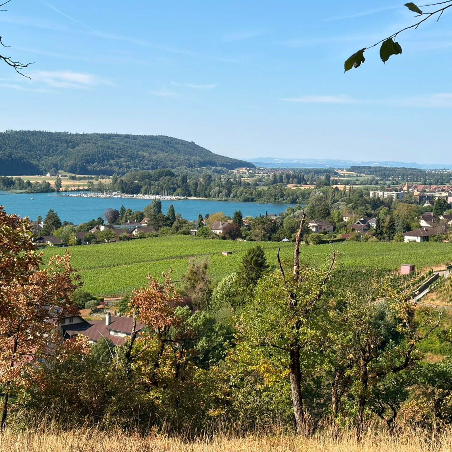 F9bc57af-d73b-40f4-8b4d-b20e371d9d89