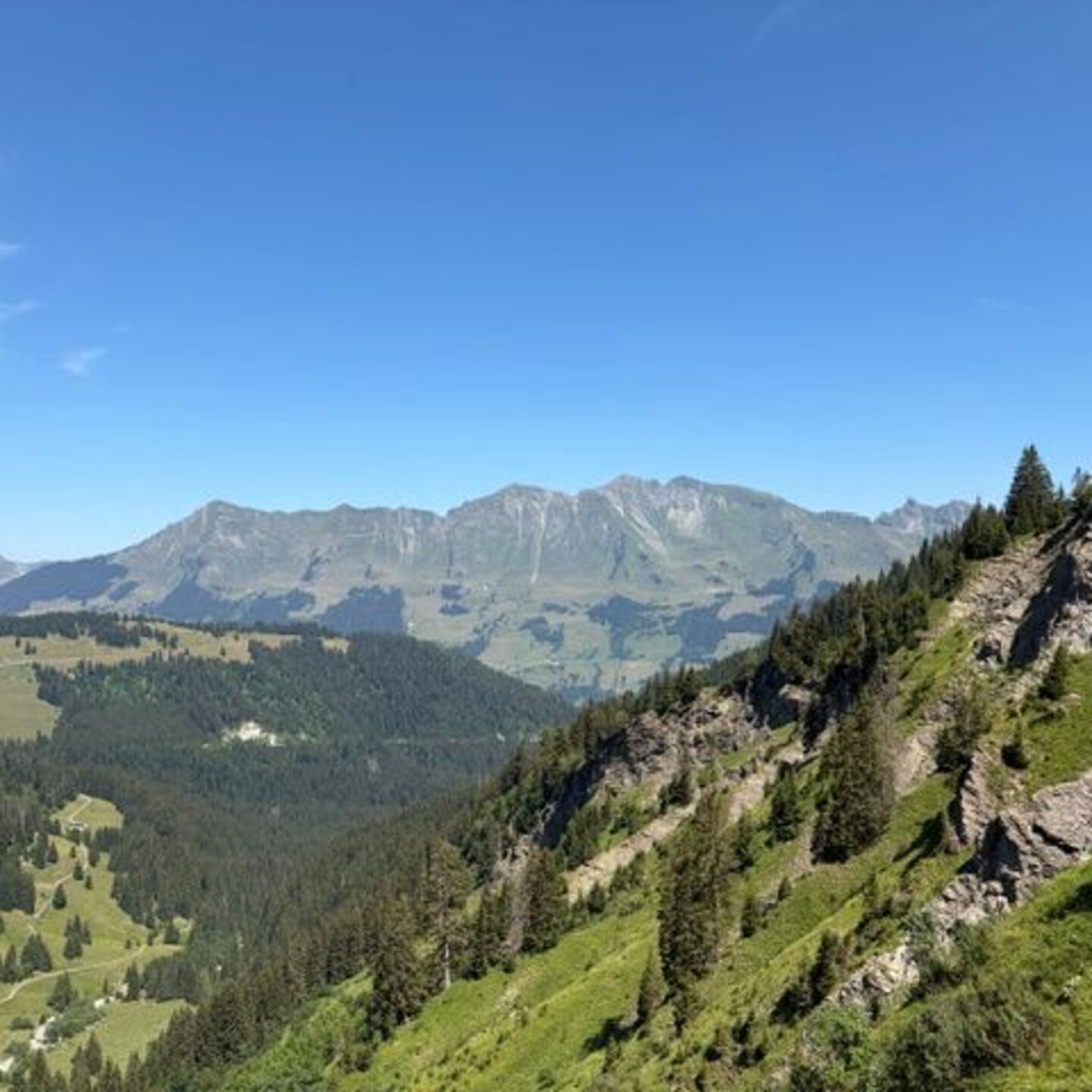Image2