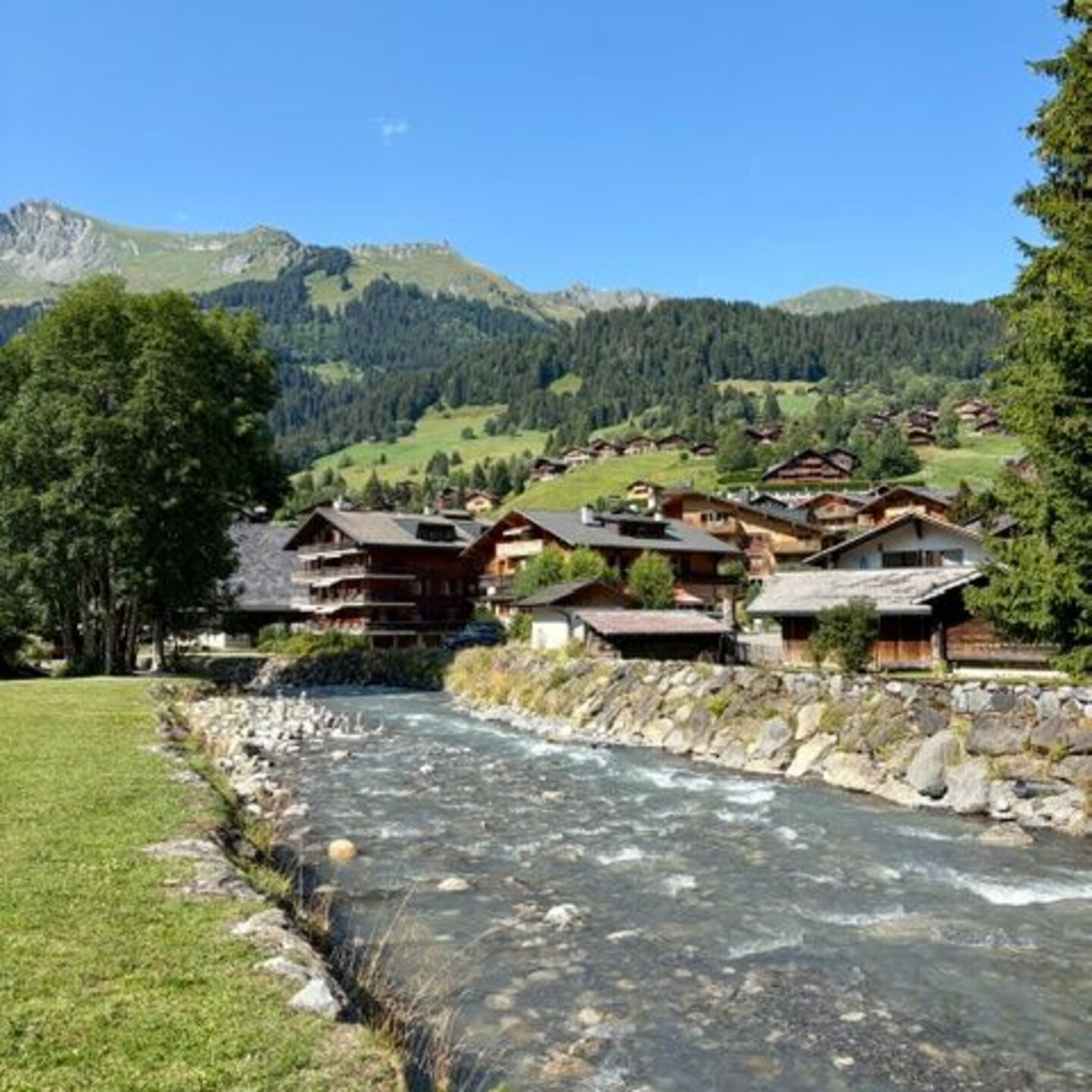 Image6