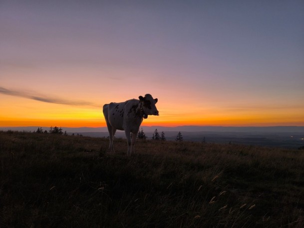 IMG_20250825_204655 2