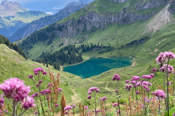Le Lac Lioson (VD)