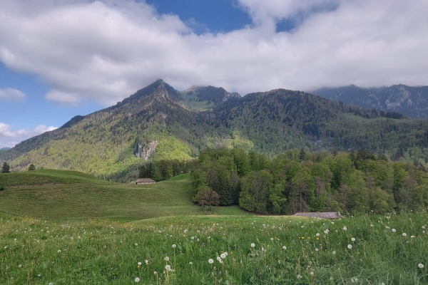 Randonnée de clôture