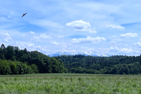 61. Autour de Corminboeuf