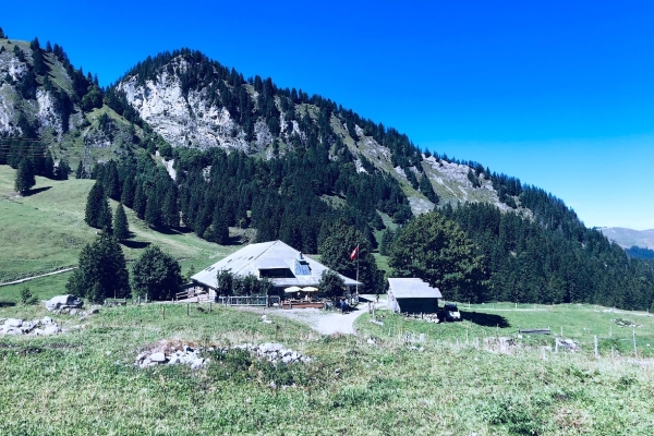 4.B Die Alpine 10:10