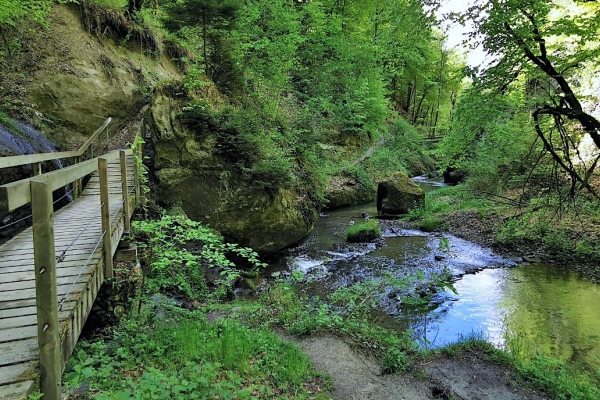 23. La vallée du Gottéron