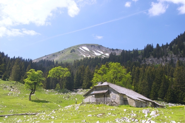 3.C Die Entdeckung beim Abstieg 10:30