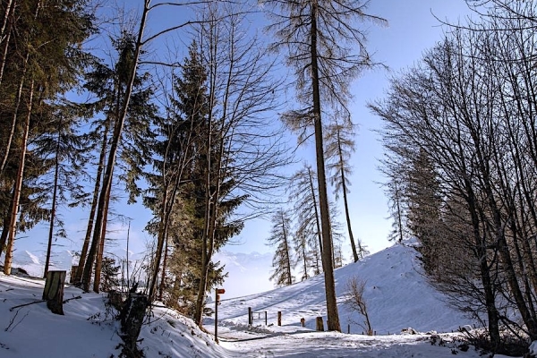 04. Blick auf den Thunersee