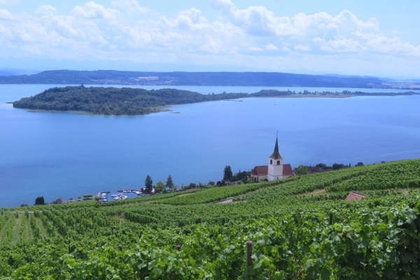 14. Röstigraben: 2. Etappe, Tüscherz - La Neuveville (BE)