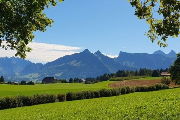 6191e007-b28f-40af-ad6c-cd914d57029e