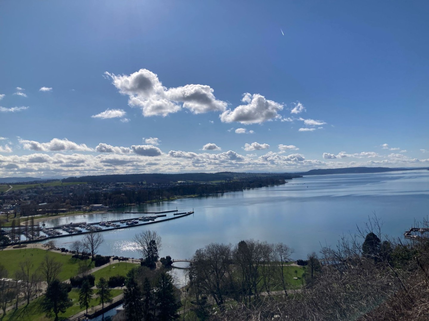 29458b5e-2d08-403c-99db-eabbf6375744 (1)