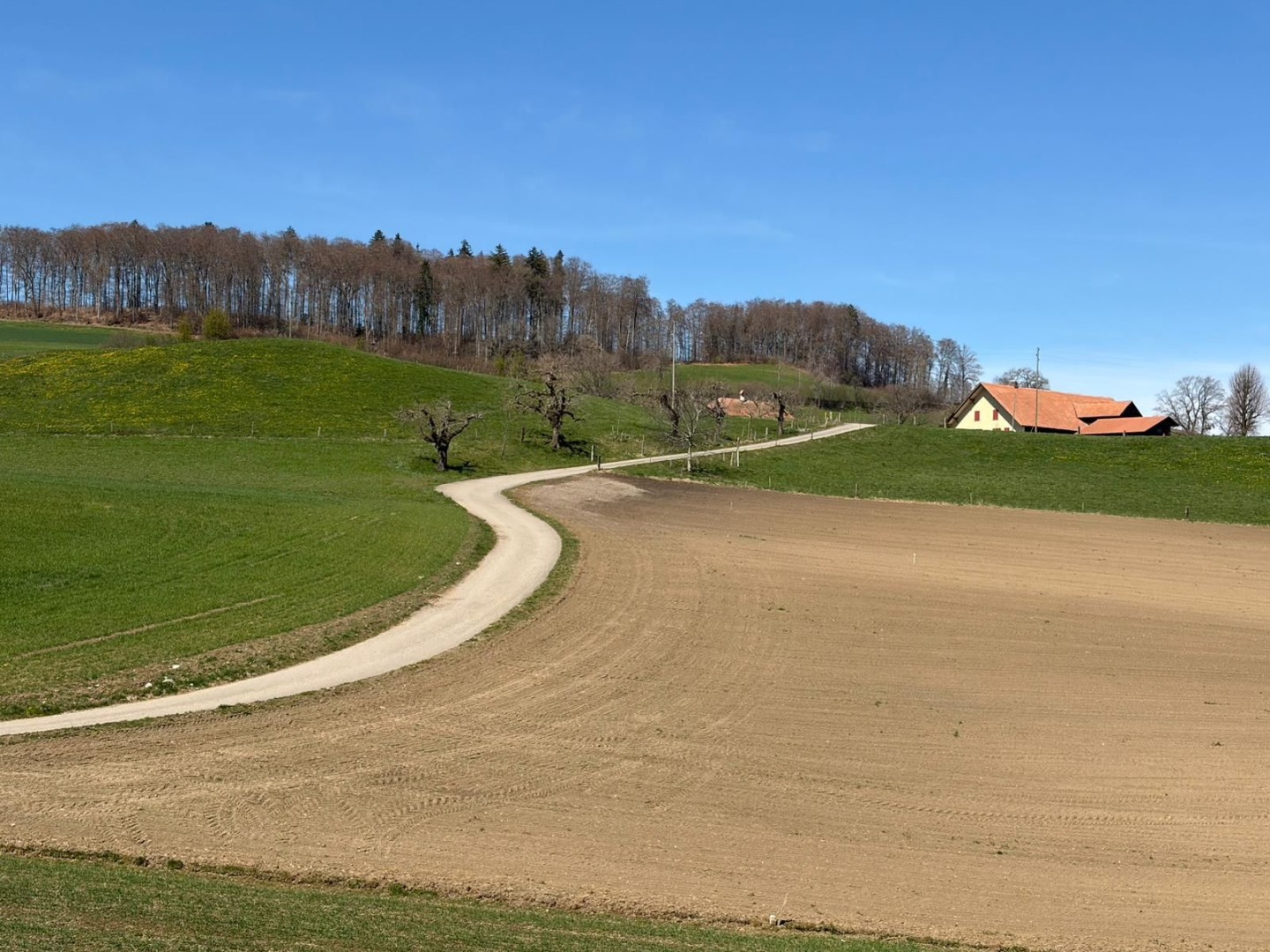 5bc39278-a10a-4563-8a81-bfdd81e89a07