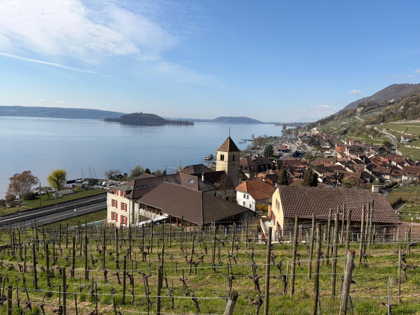 WhatsApp Image 2026-04-03 at 17