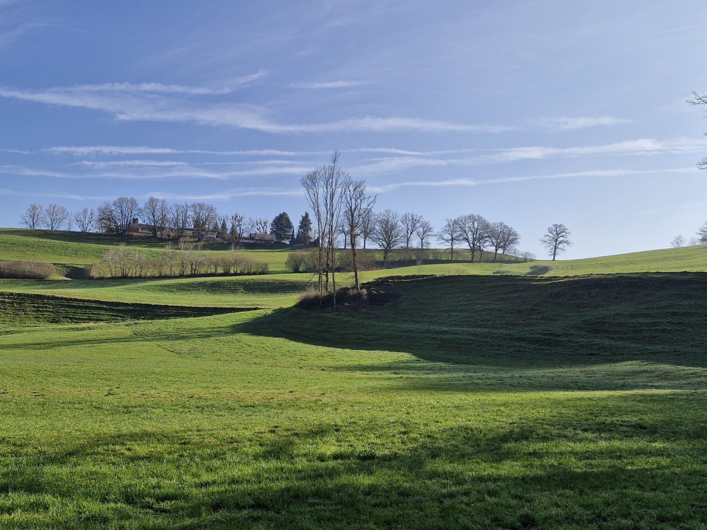 C2506362-50ea-489d-aaab-bc3cf2722a2b