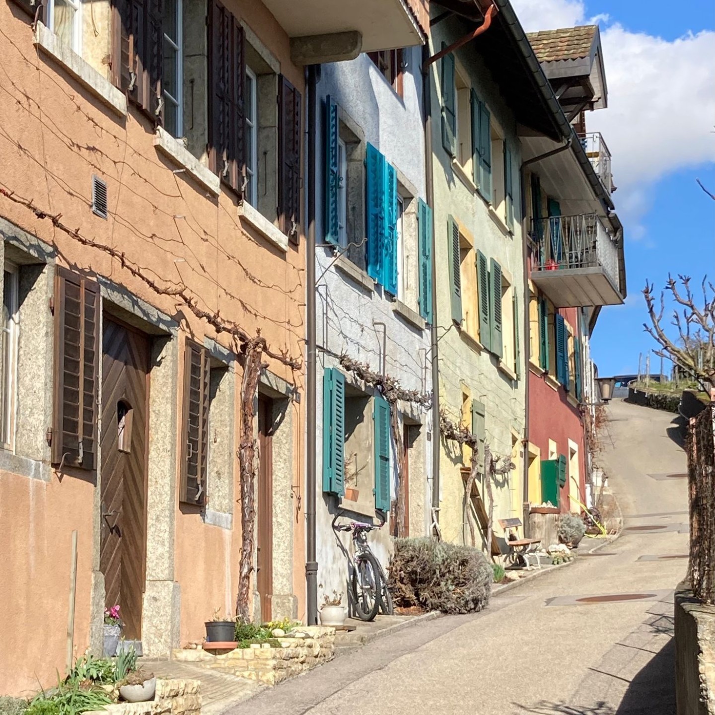 36a58758-beb3-43df-90e2-c4d59f19c232