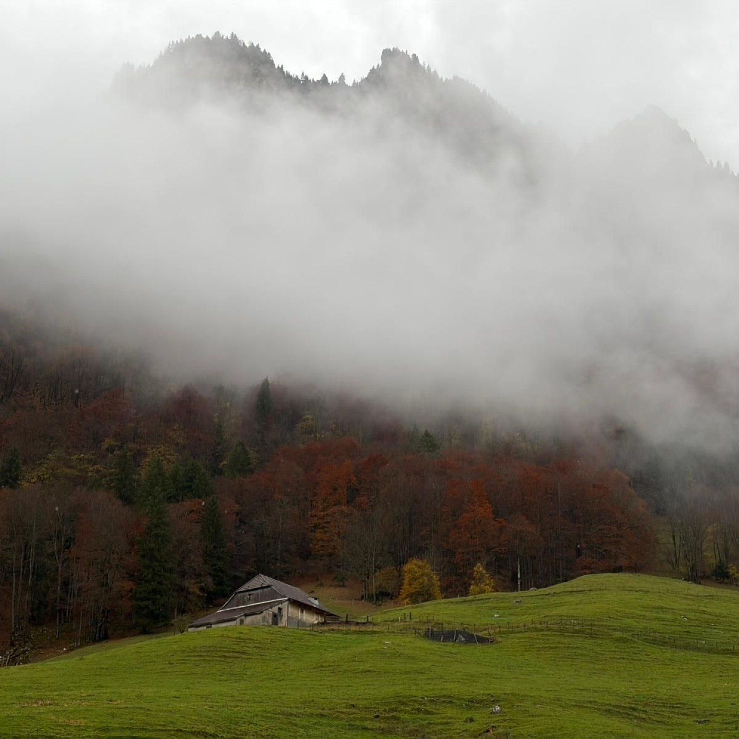 PHOTO-2025-11-03-19-16-02 (2)