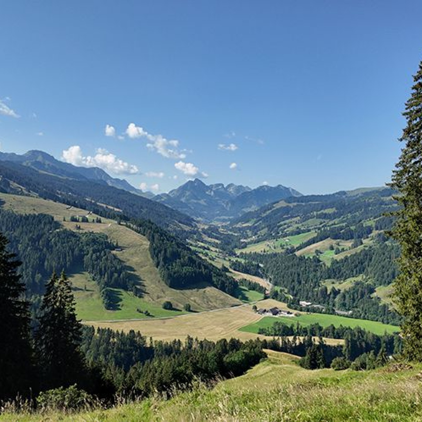 Zollhaus-Schwarzenbühl_01