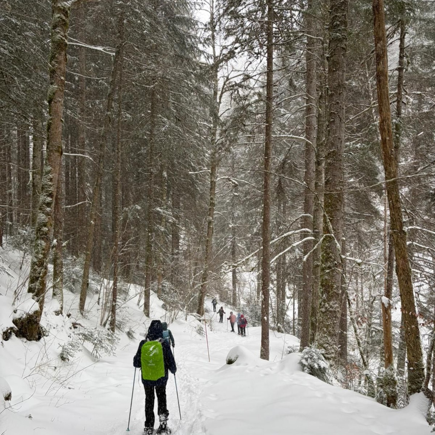 E106a908-d38c-4c22-8347-eb64e90d1af8