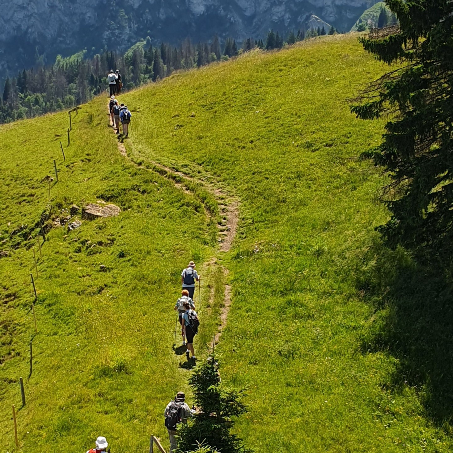 20250628_Chemin_des_cretes