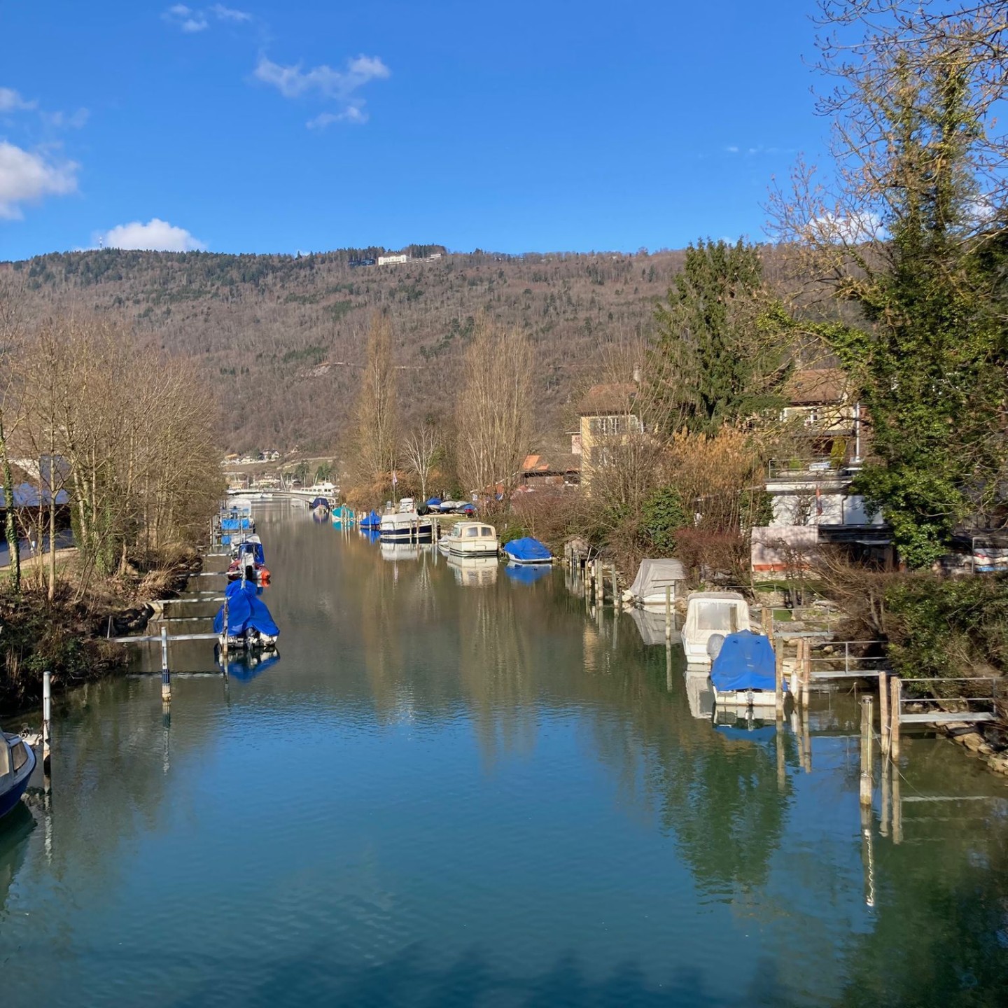 14e7afa3-ad29-46fc-b648-a38638dd0a08 (1)