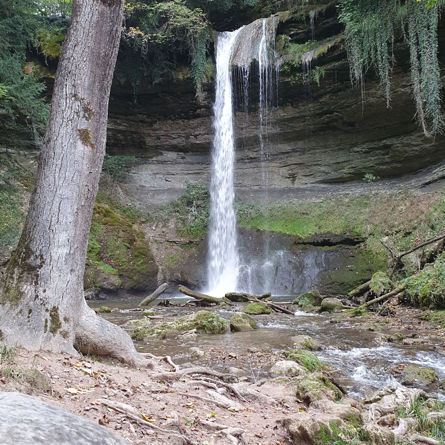 20251004_141535_LeDard_Nozon