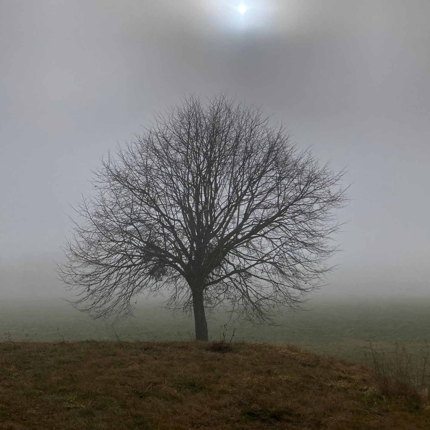 33678c3a-20da-4b22-ad8d-b44715a5c5f2