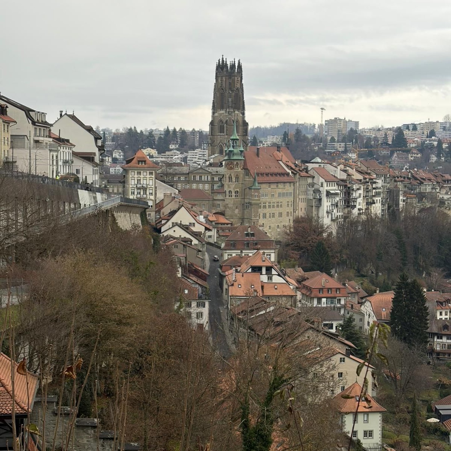 PHOTO-2025-11-30-18-18-34 (2)