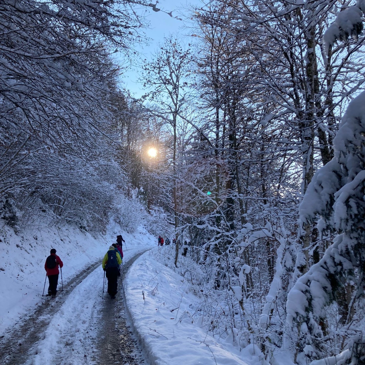 PHOTO-2025-11-25-10-17-58 (2)