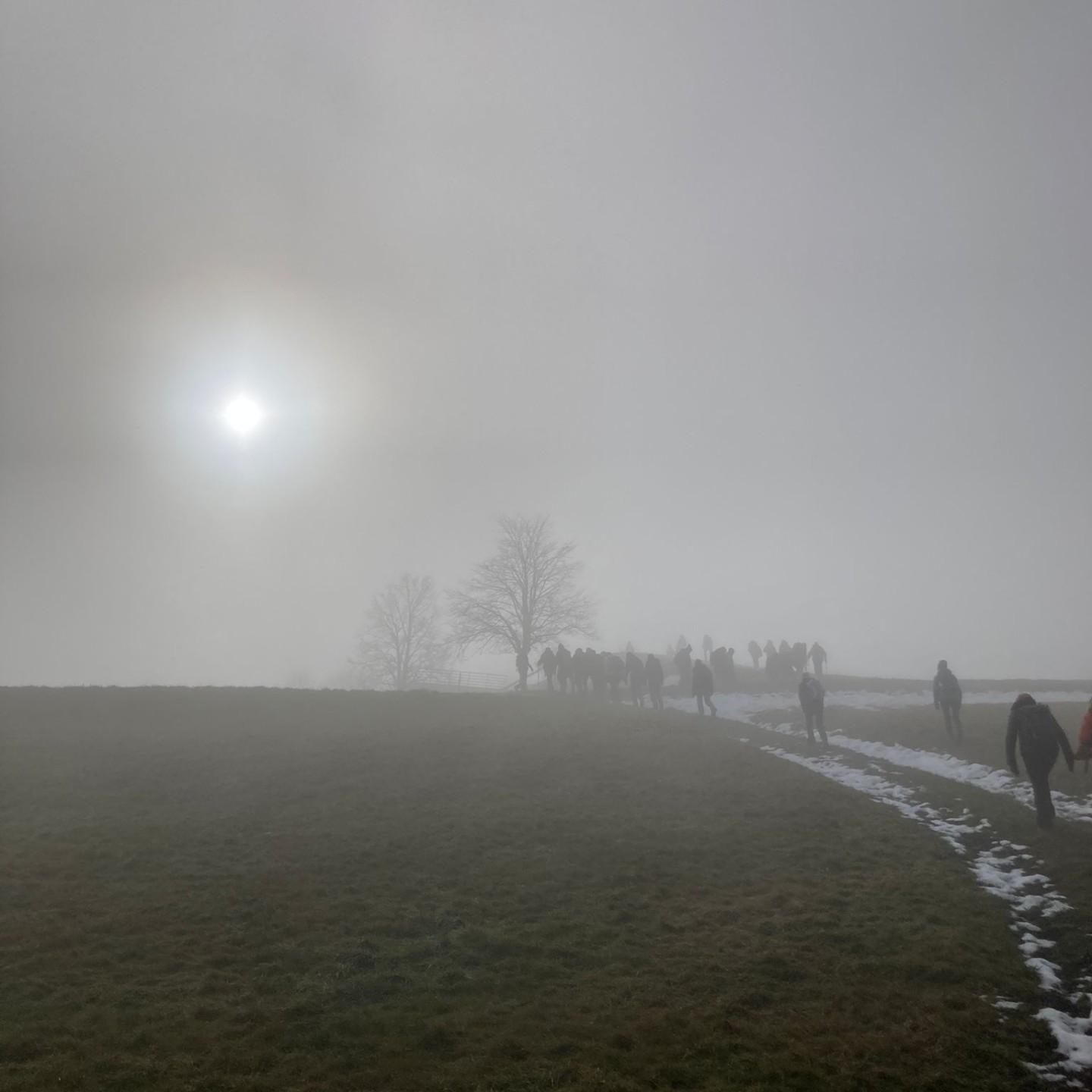 Ebab6e6f-bee6-4896-a4f7-63ded47c6237