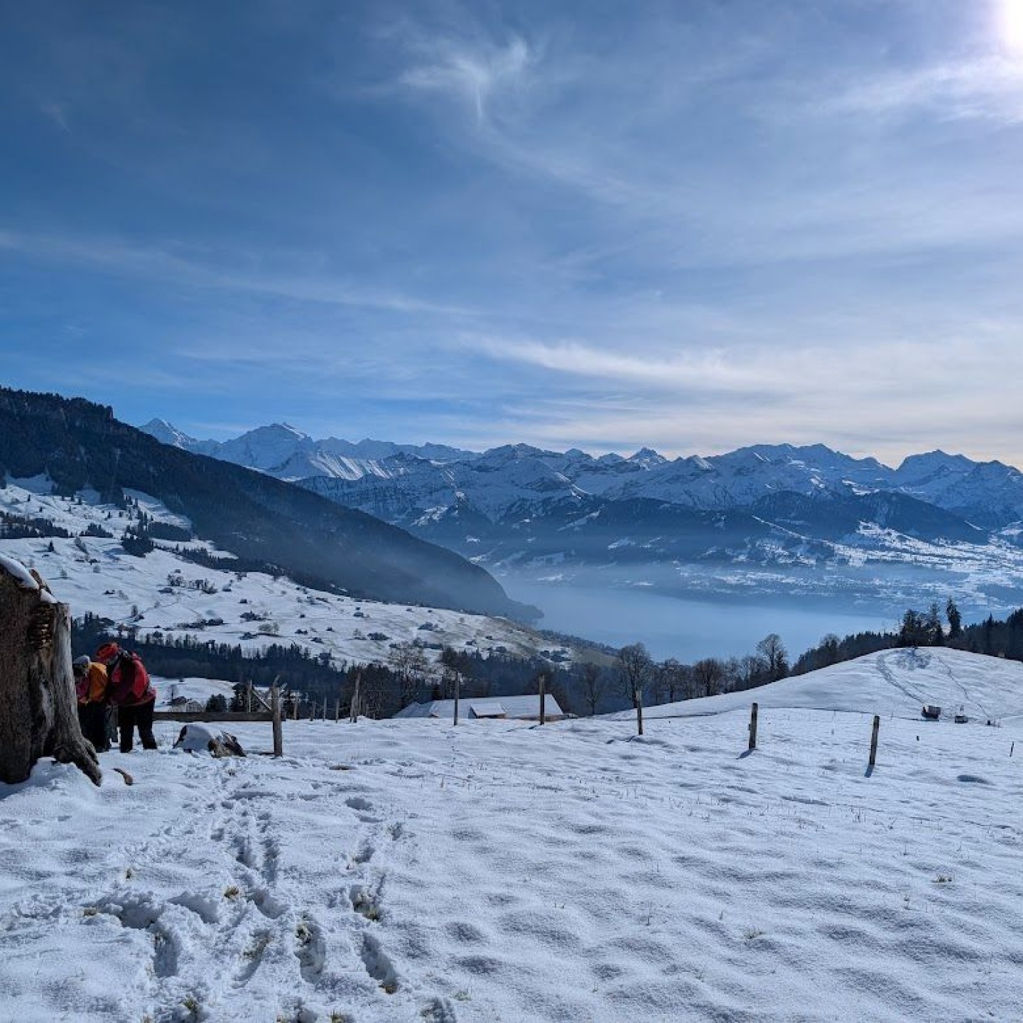 PXL_20260131_114654727