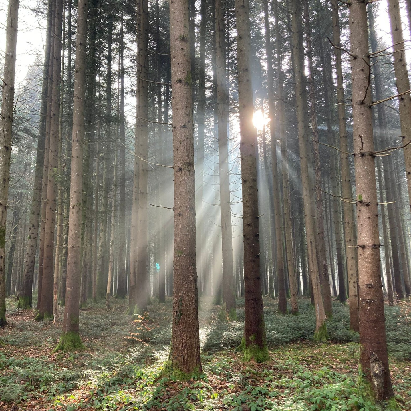 Aa731b8e-dcf6-4caa-856e-b433a5e26a02