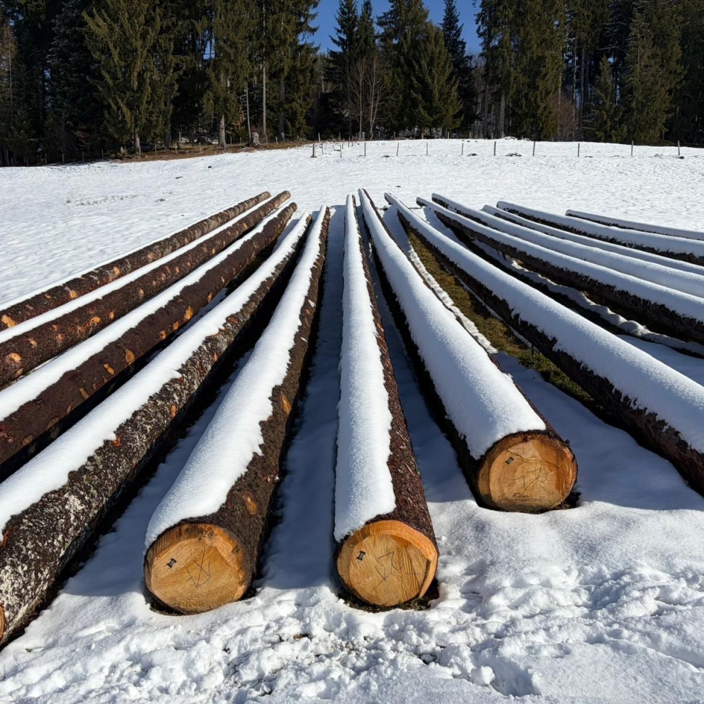 16e9766f-e23c-4e72-bd1a-e830b56e67f8