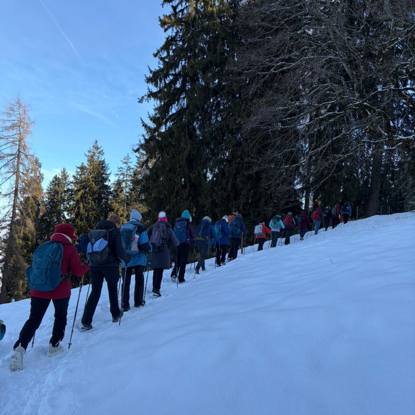 3d76c2b4-9957-4ae5-aa01-e4a8bb469f2f