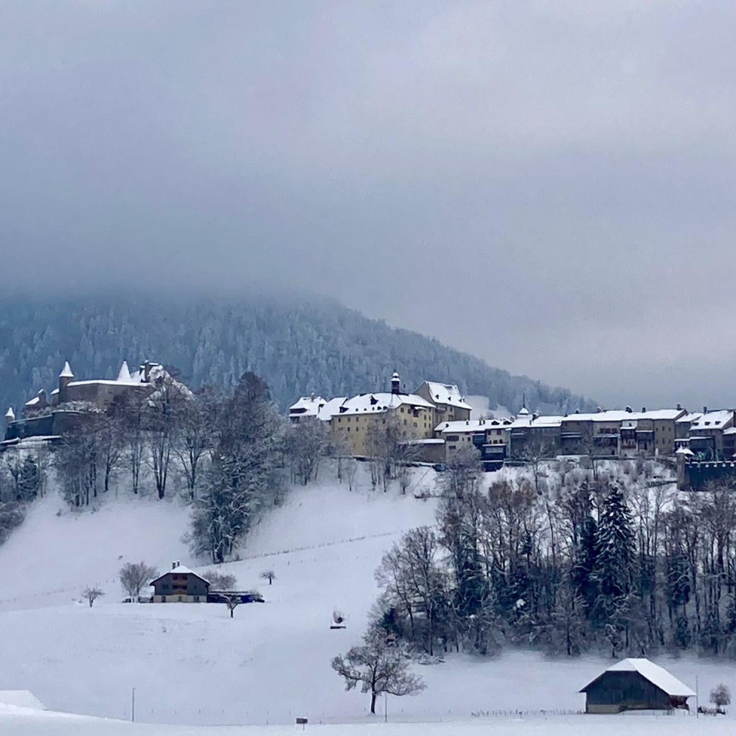 PHOTO-2025-11-25-10-17-13