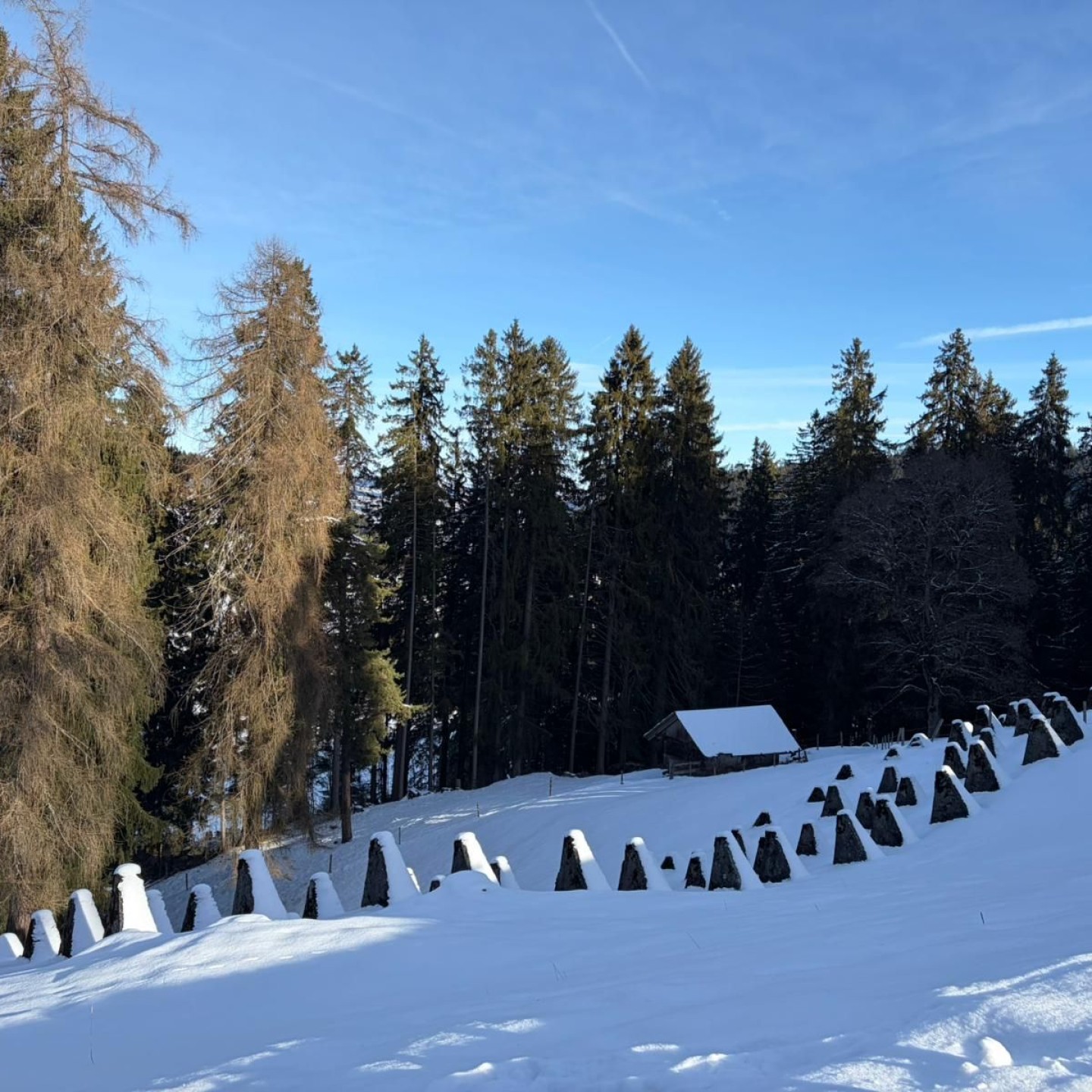 7ce464c4-4dc5-42b3-a1dd-881937d64910