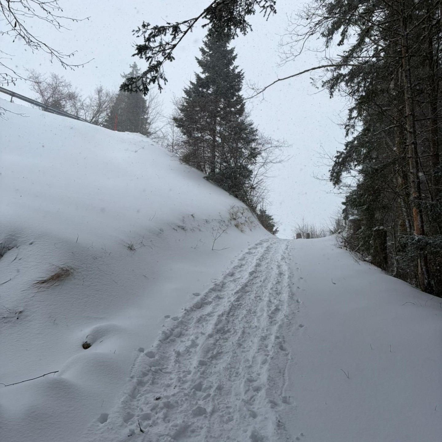 92e5dbfc-7401-476e-8157-0b9f6bb87710