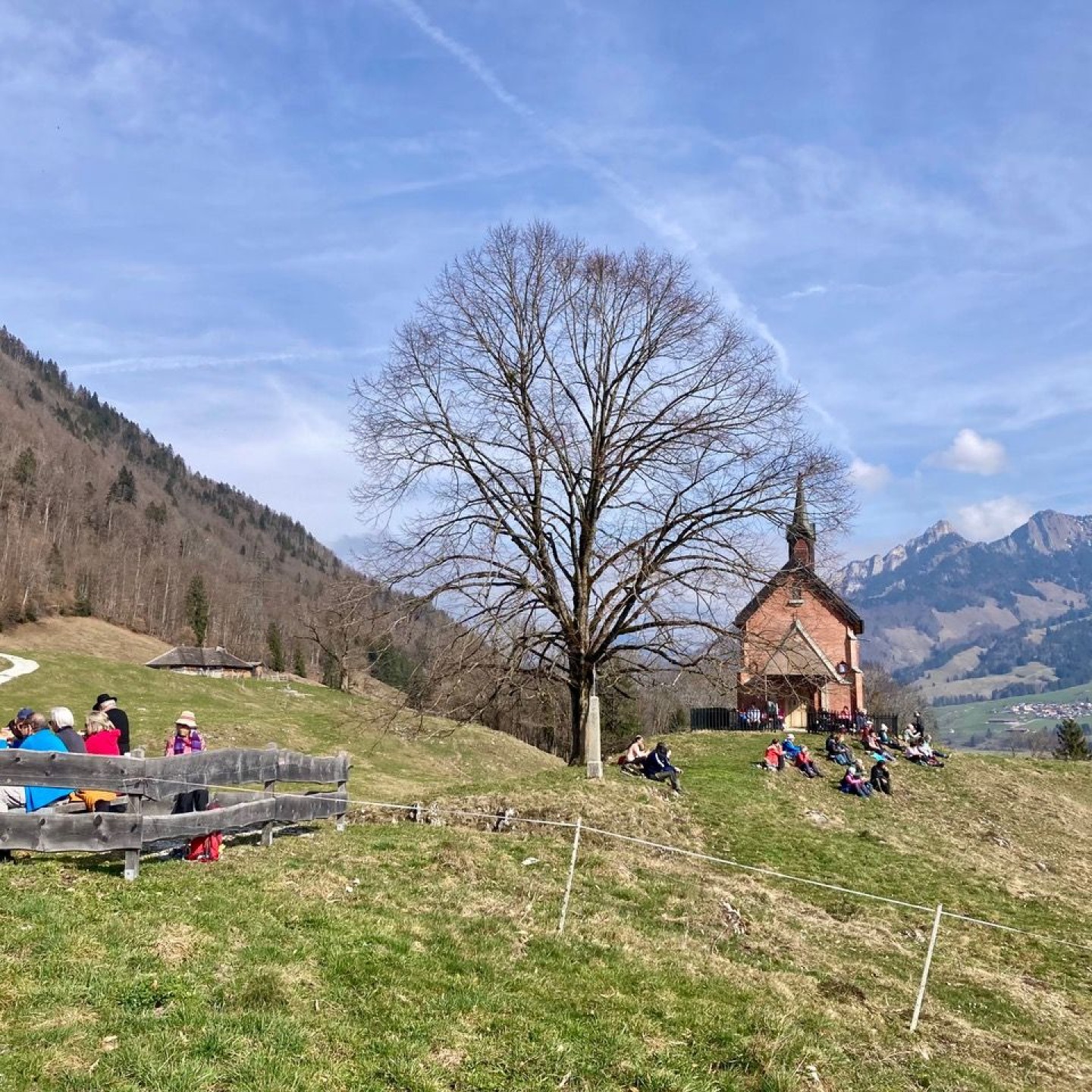 8A80195B-42C2-4A27-B98B-325FBC06CFAD-IMG_6082