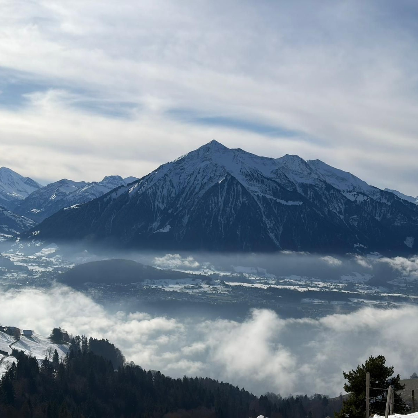 9b235796-5017-4a84-85ab-cf1d5028b67c