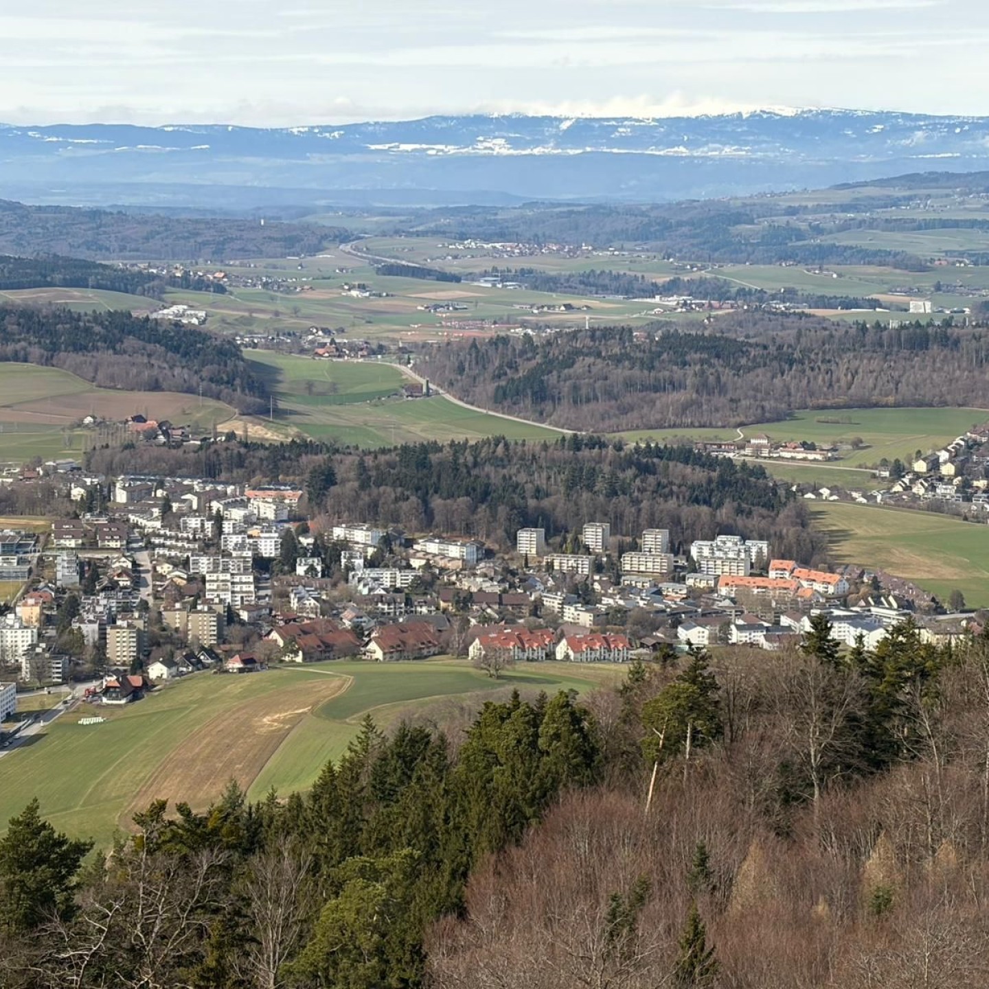 F1b48f5a-992f-4294-a669-02b85a58e299