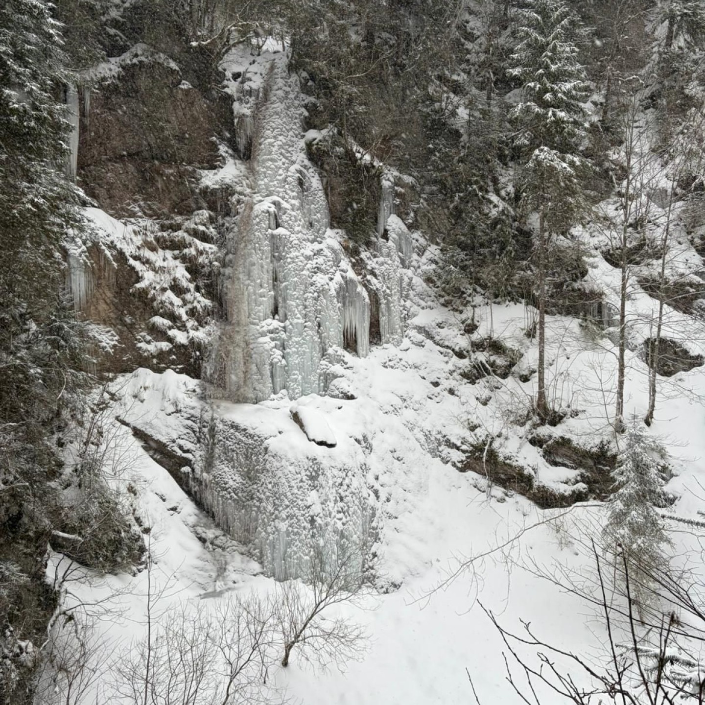 8d0830ba-ba03-4e58-92cc-dbaef650bfe8