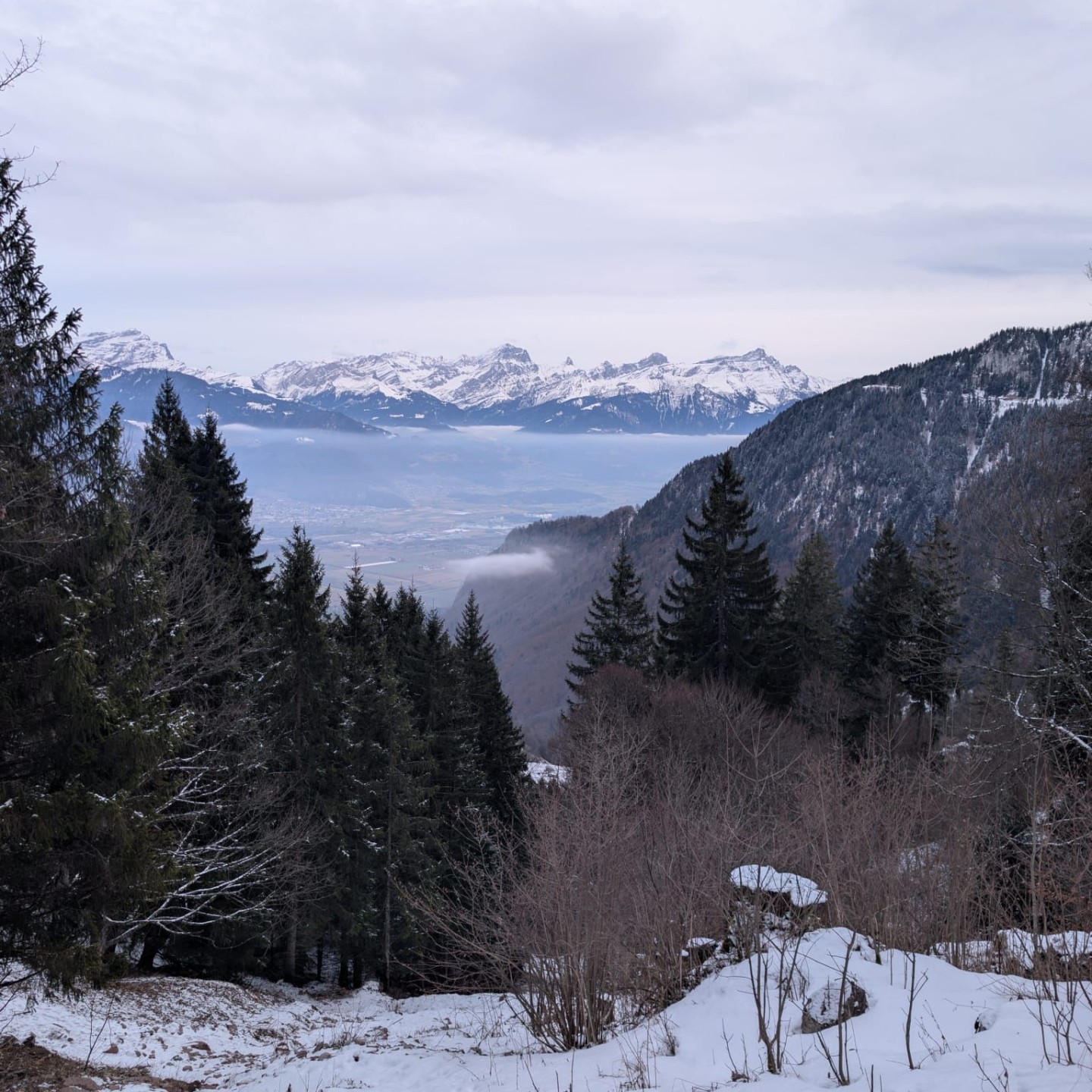 87deb9f9-2d25-4094-81e9-c408ce2b756a