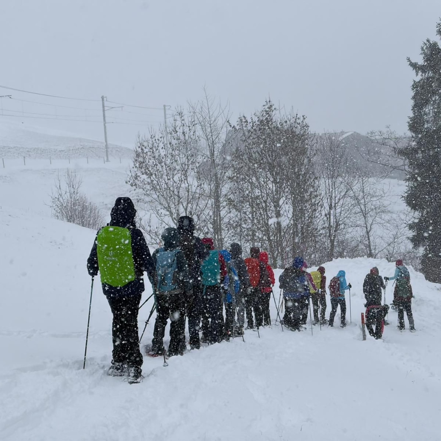 49410b05-7bc2-46d6-ba6a-bc4cdd7a0c63