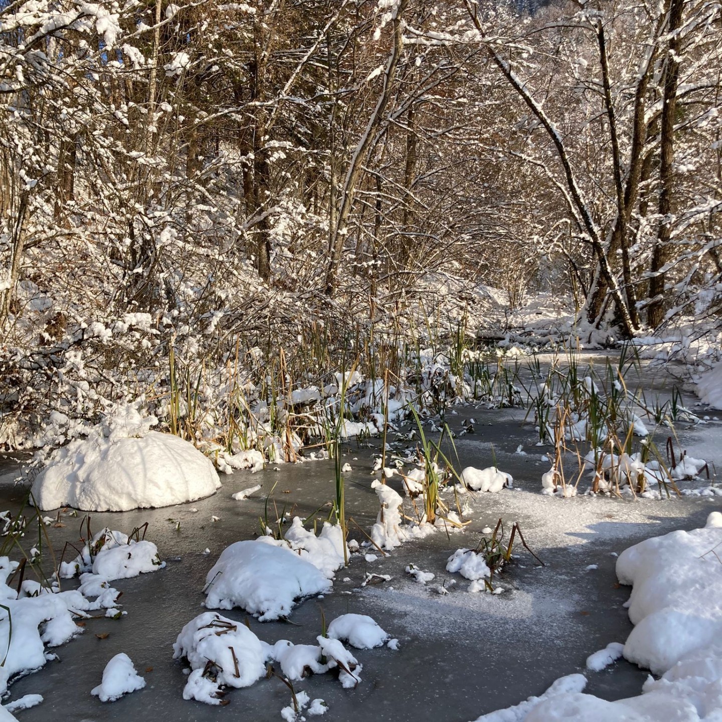 PHOTO-2025-11-25-10-17-57