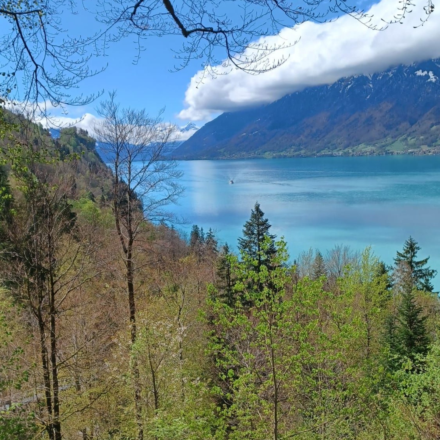 IMG-20250418-WA0015