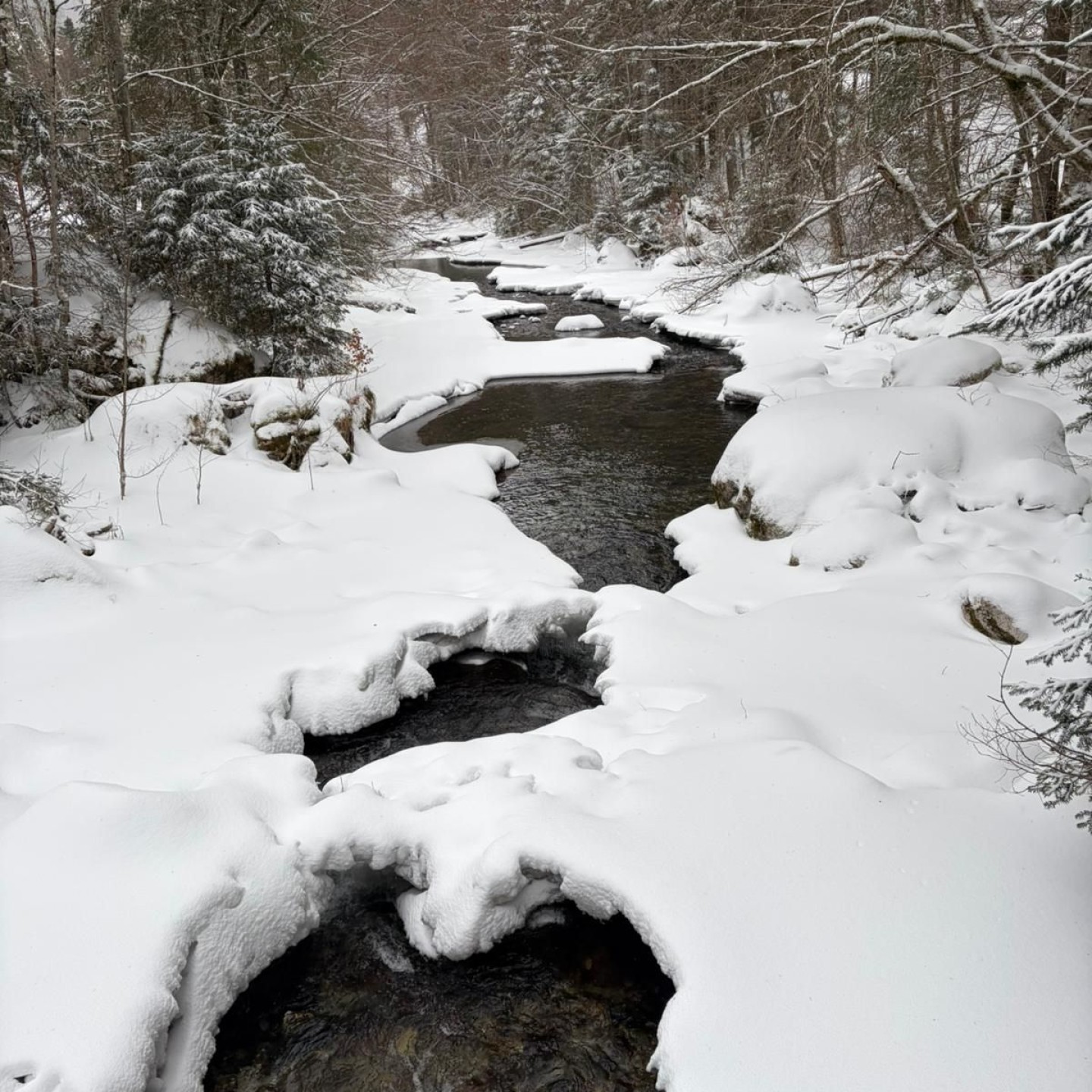 564075df-3d7f-4699-8cf9-f4687067465a