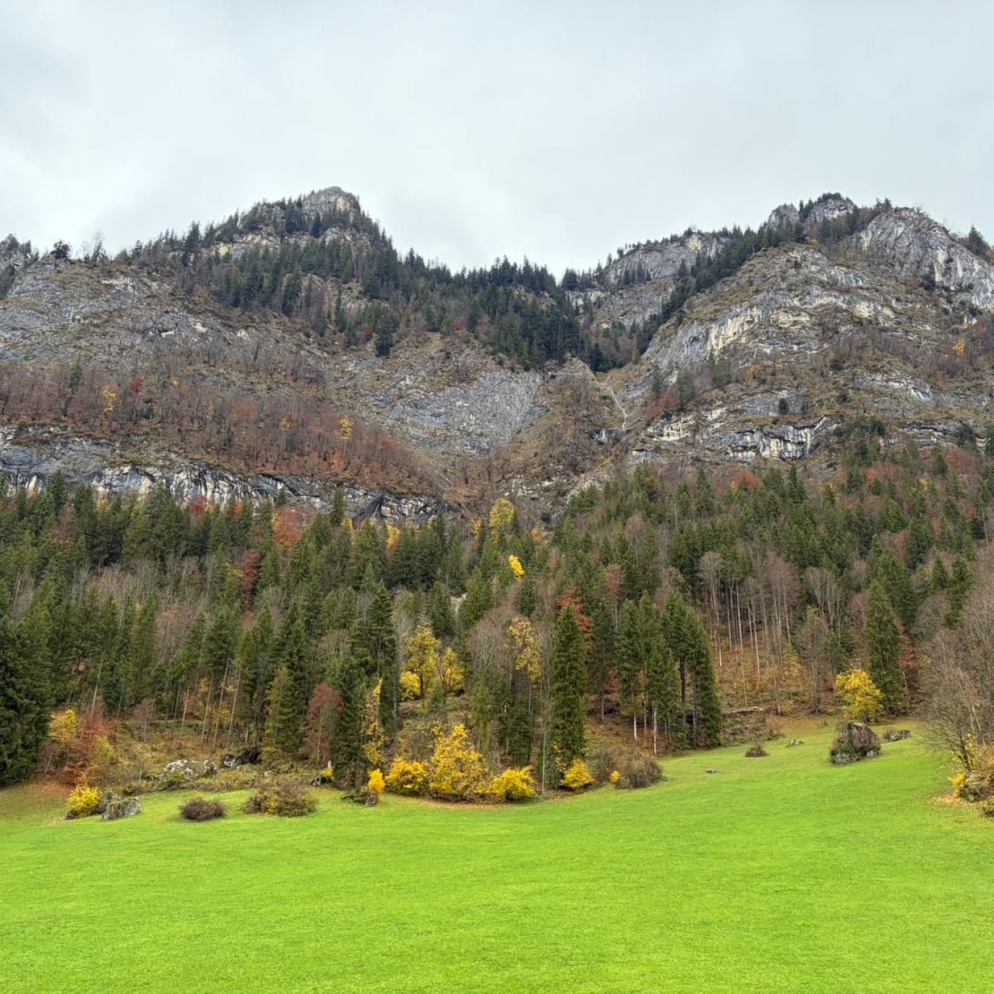 PHOTO-2025-11-03-19-16-02