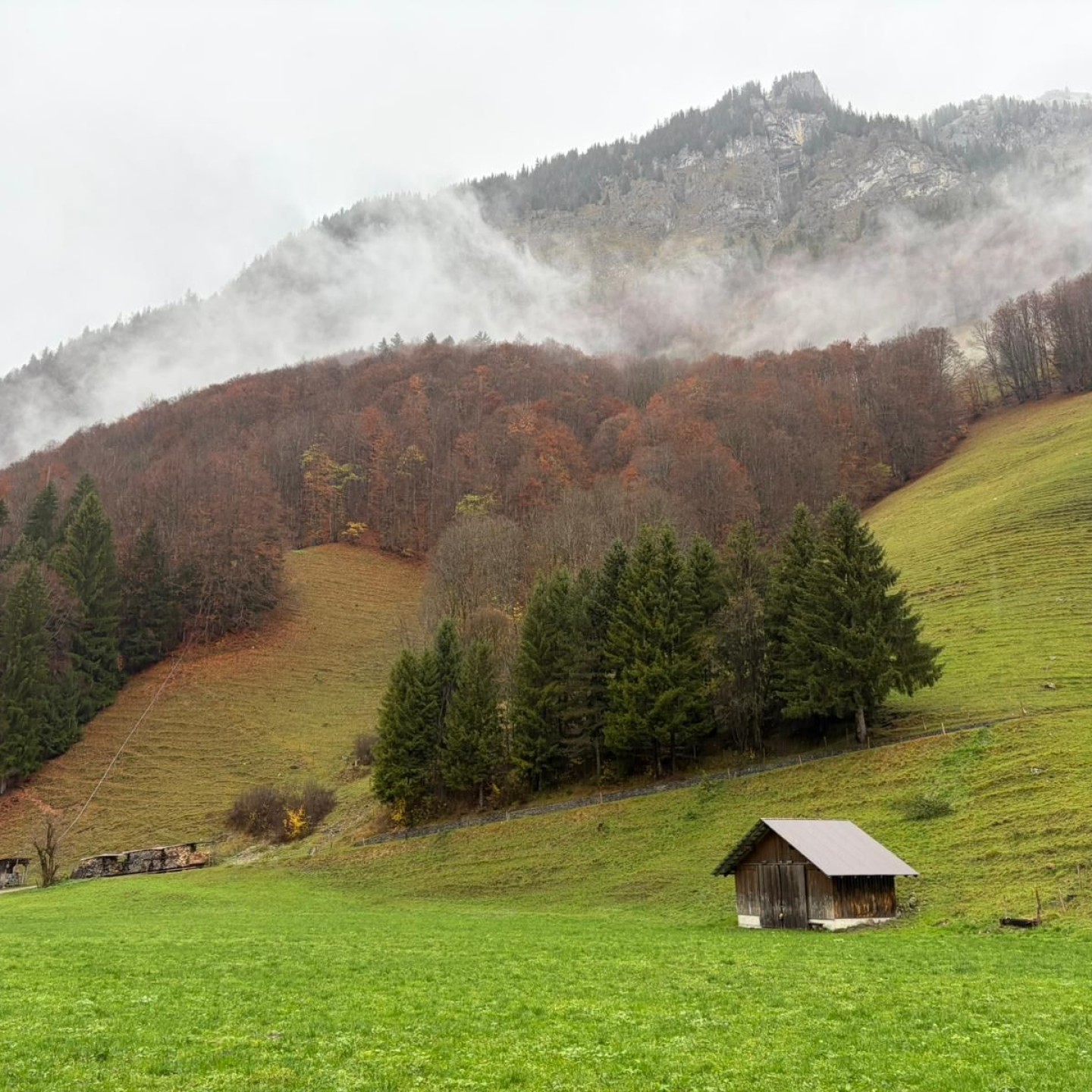 PHOTO-2025-11-03-19-16-02 (3)