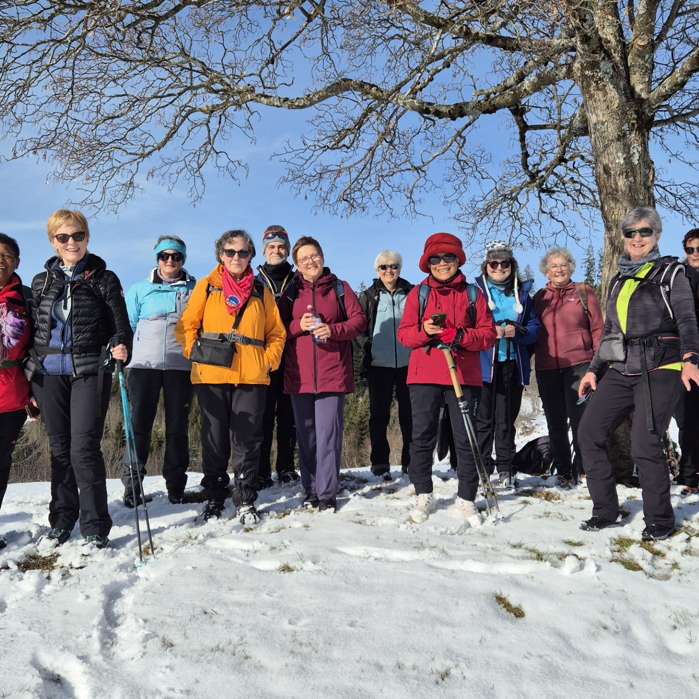 Cf86e7de-93b6-407f-b19e-ba533e7793ee