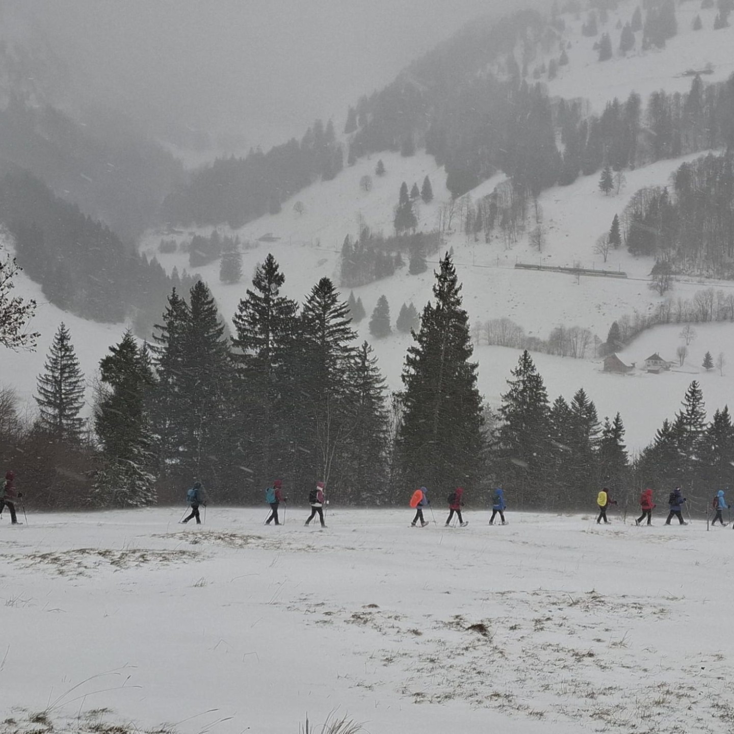 01f64c90-14d0-445f-91fb-a80b043e84b8