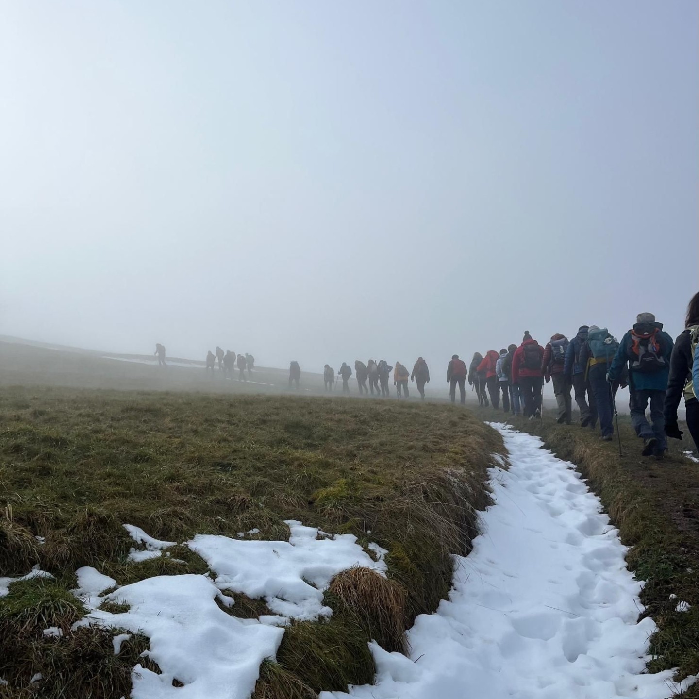 PHOTO-2026-01-18-16-53-50 (4)