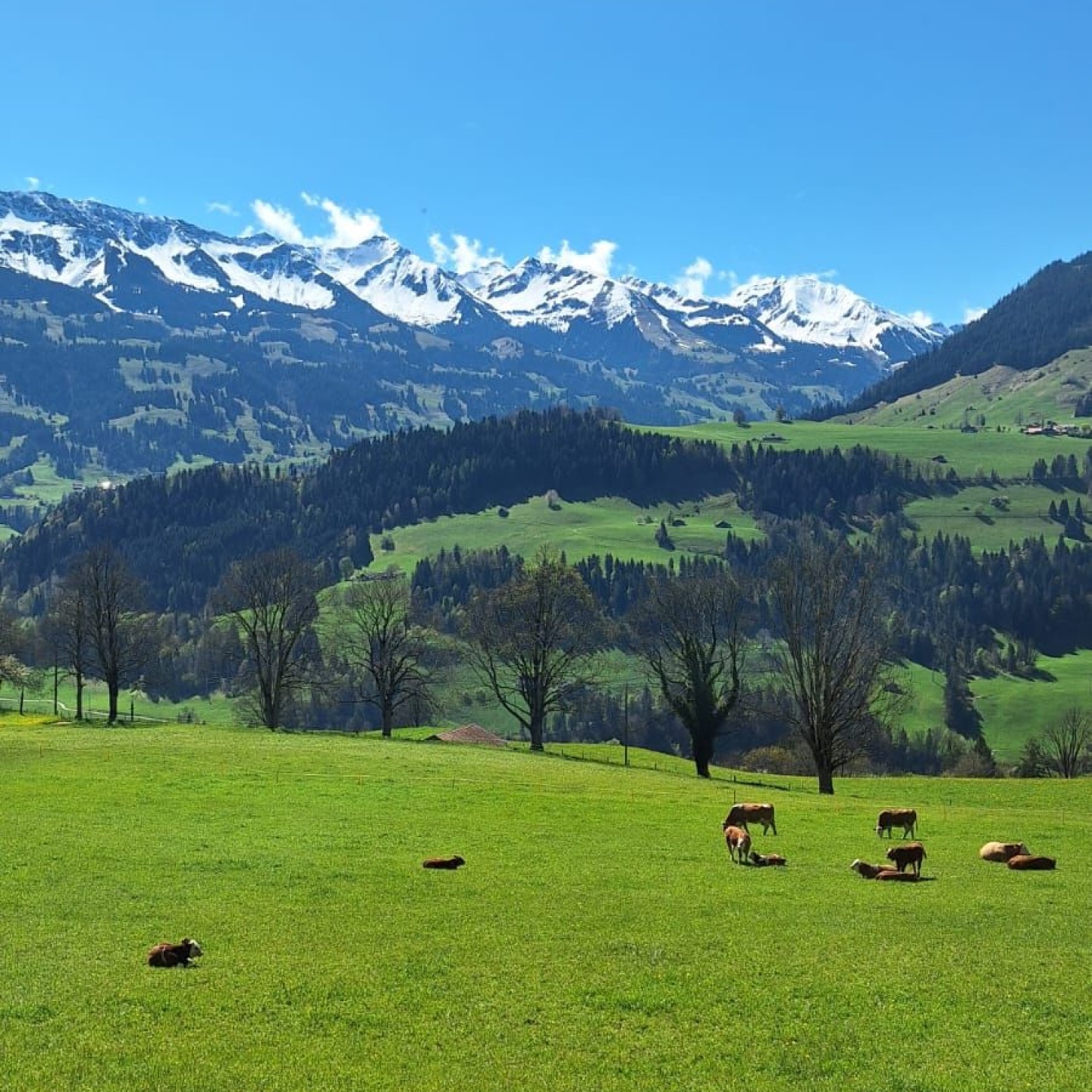 IMG-20250428-WA0035